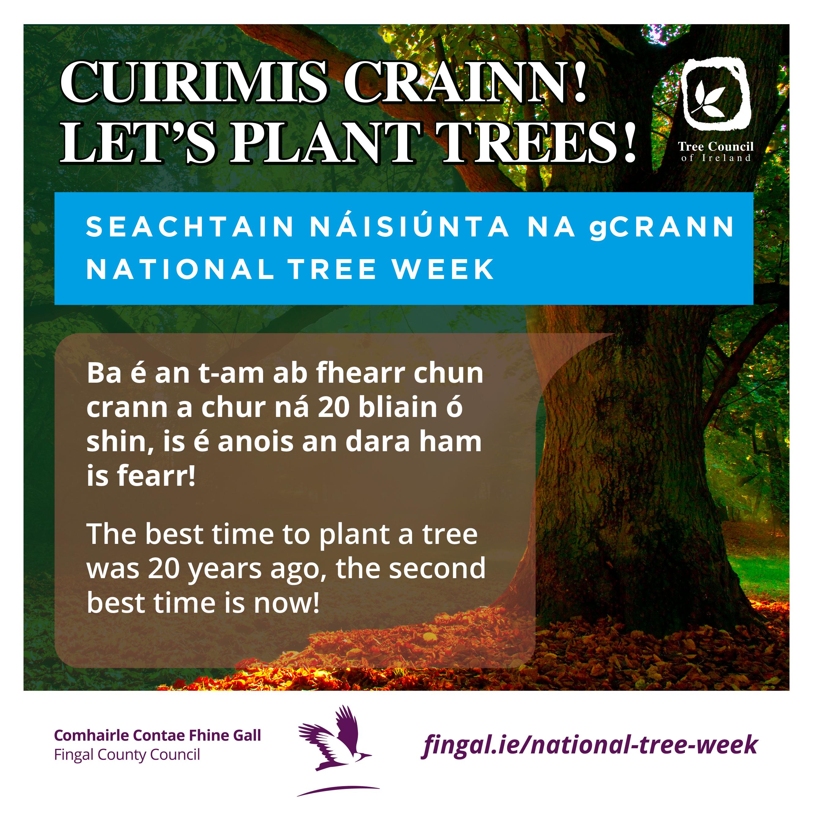 National Tree Week in Fingal 2024 Fingal County Council